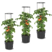 3x Plant De Tomates En Jardinière Plastique 18 L, Planteur De Tomates, Pot À Tomates, Cache Pot, Légumes, Cultivation Des Tomates