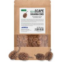 Casuarina Cones - 50 Pieces - Natural Water Conditioner, Creates Conditions Similar To Those Of The Tropics In Freshwater Aquariums, Ideal For