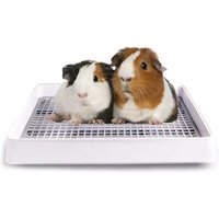 Litière Pour Cochon D'inde 38,1 X 30,5 Cm Avec Grille,Bac À Litière Pour Petits Animaux Pour Cage,Lapin,Furet,Chinchilla Et Rat