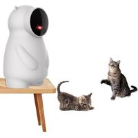 Letnerny-Jouet Interactif Pour Chat,Trajectoire Réellement Aléatoire Jouet Par Le Mouvement Et Rechargeable,Jouet Pour Chat Amusant Multifonctionnel