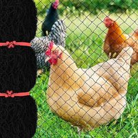 Filet Anti-Oiseaux De 7,6 X 15,2 M Avec Maille Carrée De 2,5 Cm, Filet De Jardin Réutilisable Pour Poulailler, Filet De Volaille En Nylon Pour