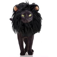 Perruque Pour Chien Et Chat, Déguisement Pour Animal De Compagnie, Coiffure En Poils De Lion Pour Petit Chiot, Déguisement De Cosplay, Perruque