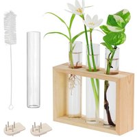 Porte Plante Mural En Verre De Tube À Essai-4 Tubes À Fleurs (1 De Rechange) Avec Support En Bois-Vase Suspendu Moderne Pour