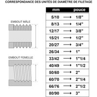 Bouchon Femelle 3/4"" en laiton brut-Type 300-Idéal pour isoler canalisation-Résistant à la corrosion-Étanchéité avec joint plat (non fourni)