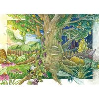 Solanacées Légendaires - Kit De Graines Avec 5 Herbes Magiques