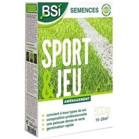Bsi - Semences De Gazon - Sport Ou Jeu - Avec Enrobage Protecteur - Très Haute Qualité - Jusqu'à 25 M² - 500g