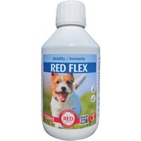 Traitement Rhumatisme Chien - Solution Anti-Inflammatoire Naturelle