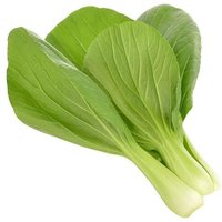 Click & Grow Chou De Chine