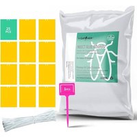 V-CATCHER Pièges à mouches à fruits - 25 pièces, pièges collants jaunes