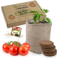 Kit de culture pour tomates avec graines premium, terreau et sac en toile de jute Idéal pour balcon, jardin et intérieur