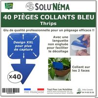 Piège collant bleu - Lot de 40 pcs