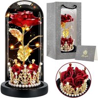 JEXNOVASHOP-Cadeau Fete des Meres - Cadeau Femme, Rose Eternelle avec Couronne,Fleur Eternelle sous Cloche LED, Rose Eternel en Verre avec Carte de