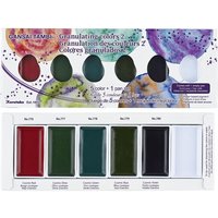 JEXNOVASHOP-Gansai Tambi Lot de 5 couleurs granuleuses II, idéal pour la calligraphie et l¿illustration, lettrage au pinceau, fine art, fabriqué au