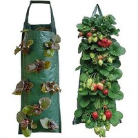 Sacs De Culture Suspendus Pour Fraisiers (2 Pièces, Verts)