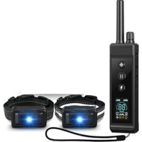 Collier Dressage 2 Chiens 8 Tons 16 Vibrations Ip67 Rechargeable