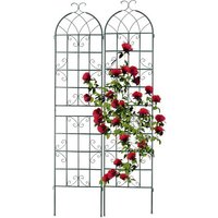 Nouvelhorizonstore-Tuteur À Tomates, En Lot De 2, À Poser, Pour Plantes Grimpantes, Utiles, Ornementales, Hl : 220 X 50 Cm, Vert