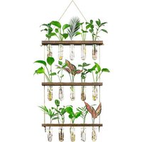NouvelHorizonstore-vase en verre à 3 niveaux Terrarium mural pour plantes avec support en bois, jardinière rétro en verre Tube à essai pour plantes