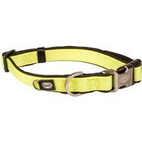 Jgd-, Collier Confortable Et Contemporain Ga Mme Explor North, Taille 30-45 Cm/15 Mm Jaune Néon, Pour Chien, Idéal Pour Des Promenades Et Expéditions