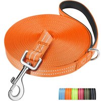 Jgd-Longe Pour Chien, 3m 5m 10m 15m 20m 25m 30m 50m Laisse De Dressage, Rembourrée, Durable Et Léger, Longe Pour Petit, Moyen Et Grand Chien, Avec