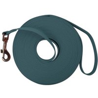 Jgd-Longe Pour Chien,Laisse Pour Chien Avec Poignée Et Sac De Rangement, Laisses De Dressage Étanches Pour Chiens,1.5m/3m/5m/10m/15m Longe Robuste
