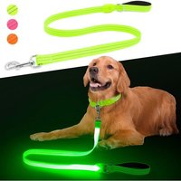 Jgd-Laisse Led Pour Chien - Rechargeable Par Usb