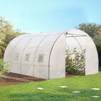 Serre Tunnel De Jardin 12 M Blanche Gamme Maraîchère Zebra 4x3m