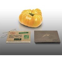 15 Graines À Semer - Le Grenier D'abondance - Tomate Ananas Bio - Certifié Ab - Solanum Lycopersicum