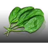 250 Graines Bio À Semer - Le Grenier D'abondance - Epinard Géant D'hiver Verdil - Certifié Ab - Spinacia Oleracea