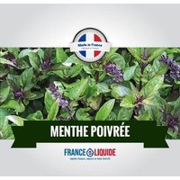 Rakuten Eliquide arôme Menthe poivrée 0MG 10ml 50% PG 50% VG fabriqué en France