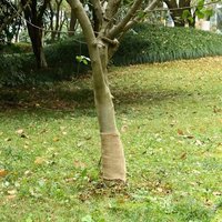 Vidaxl Rouleau De Jute 0,25x25 M 100 % Jute 200 G/M²