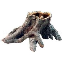 Cavité Dans Tronc D'arbre 1 17x7x16 Cm