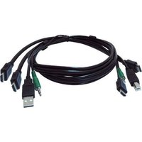 Connect One Or Two Hdmi, One Usb, And One Audio Source(S) To A Secure Kvm Switch(1/Ea)