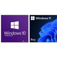 Windows 10 or 11 Professional Licence