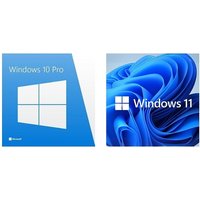 Windows Professional or Home - for Windows 10/11!