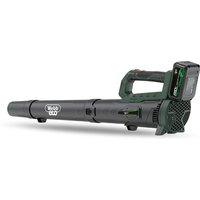 Webb Eco WEV20ABB4 Cordless Leaf Blower with Battery and Charger
