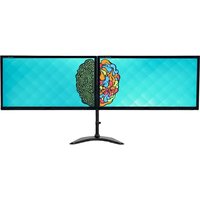 22 Inch Dual Monitor Screens