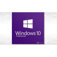 Windows 10 Professional Licence