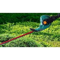 Alivio Electric Telescopic Hedge Trimmer 450W
