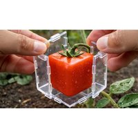Creative Fruit Shaping Transparent Moulds 2 Shapes