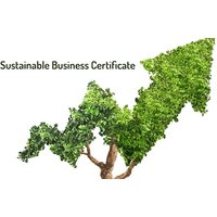 Online Sustainable Business Certificate