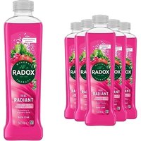 6 Pack Radox Mineral Therapy Soothing Bath Soak per Bottle