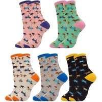 Go Groopie Get 72% Off Five Pairs of Adorable Dachshund Socks