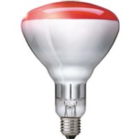 Philips 923212043801 Infrarotlampe 250 W Glühbirne