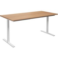 HxD 740 x 800 mm, HxD 740 x 800 mm, width 1600 mm, beech, white