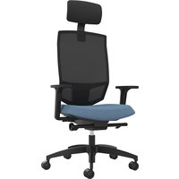 Dauphin with mesh back rest, with mesh back rest, black, water blue, with headrest