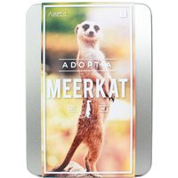 Adopt a Meerkat Gift Pack