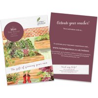 Rocket Gardens Mini Year Round Veg Patch