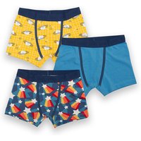 Kite Shooting Star Trunks at Natural Collection Kite Shooting Star Trunks.