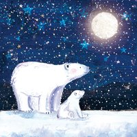 Amnesty International Christmas Cards - Wishing on a Star - Pack of 10