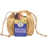 The Patterns in Nature Kit at Natural Collection The Patterns in Nature Kit.